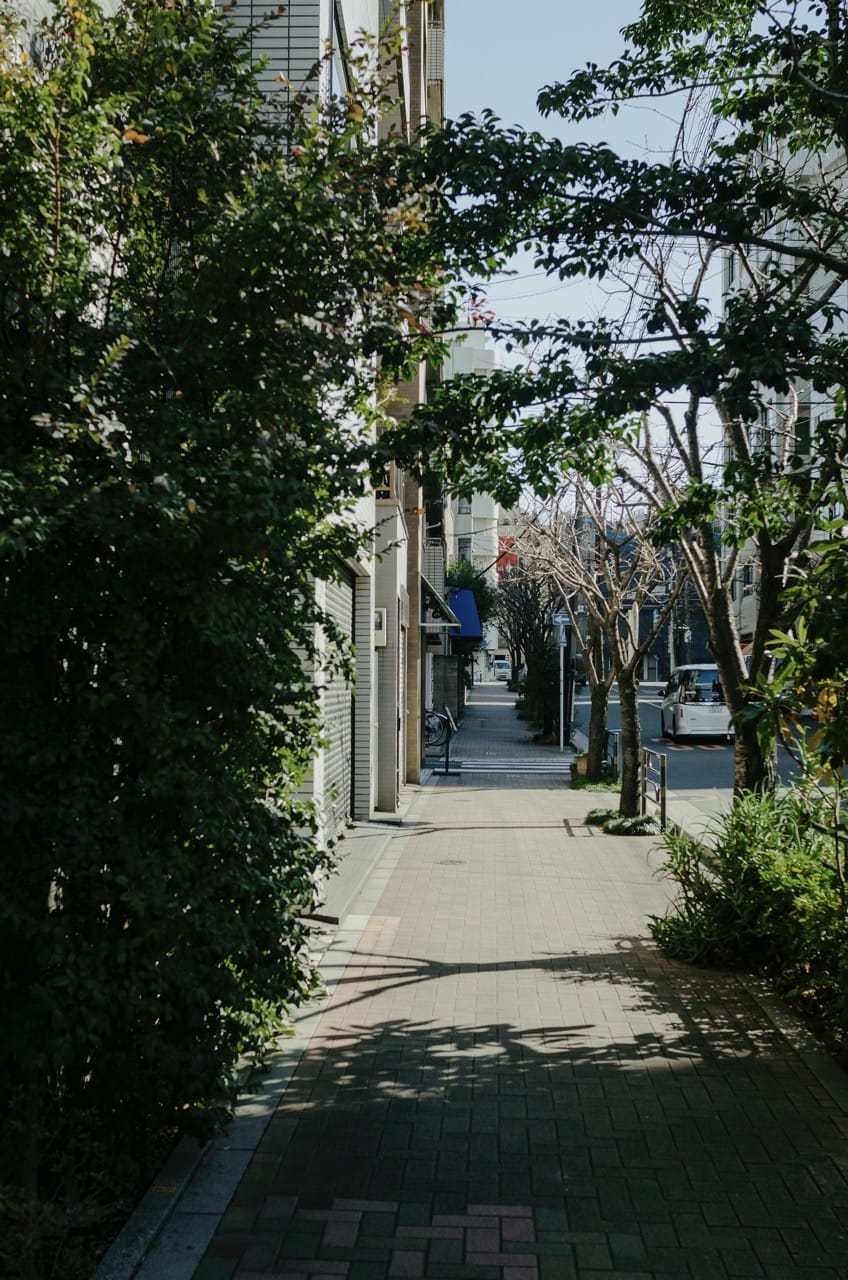 Превью Tokyo 2024